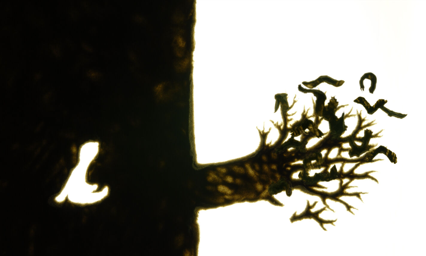  (öffnet Vergrößerung des Bildes)