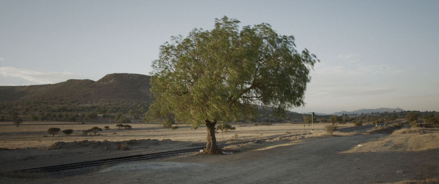 La Bestia - Train of the Unknowns (öffnet Vergrößerung des Bildes)
