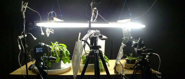 [Translate to englisch:] 