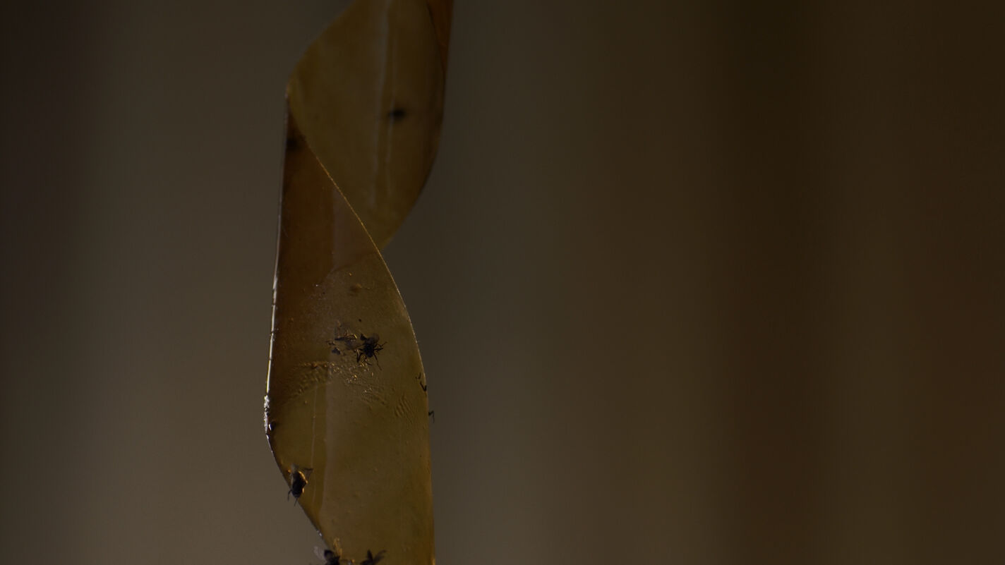 PTOK (öffnet Vergrößerung des Bildes)