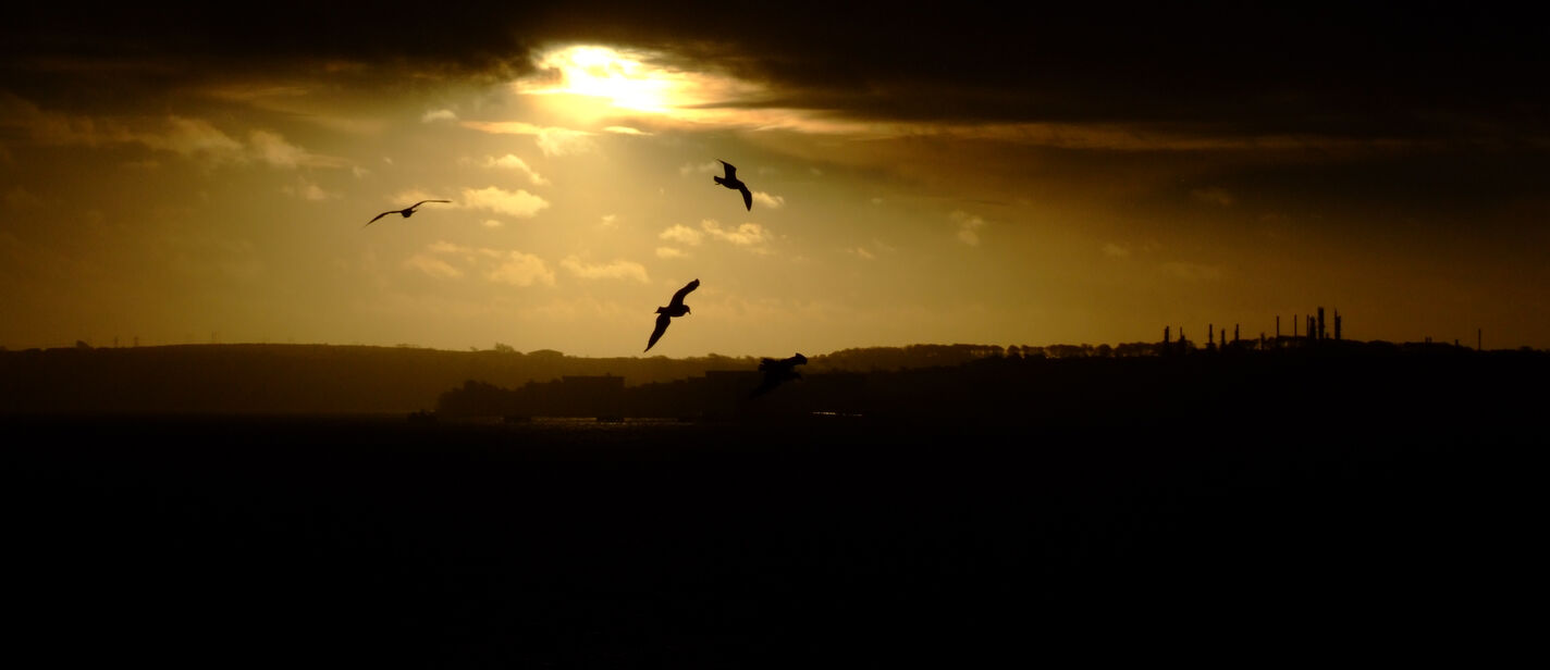  (öffnet Vergrößerung des Bildes)