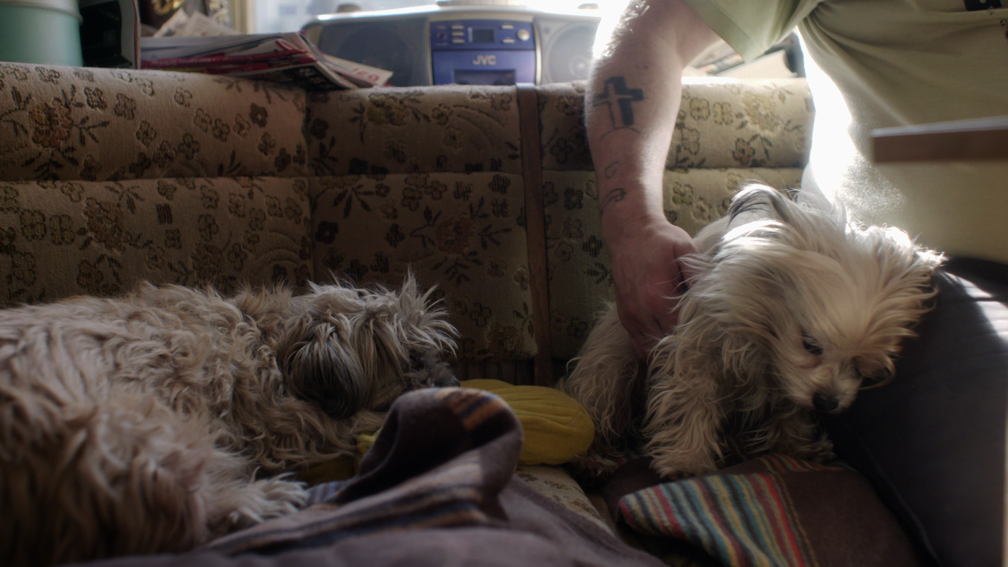 Morgen, wenn die Hunde schlafen  (opens enlarged image)